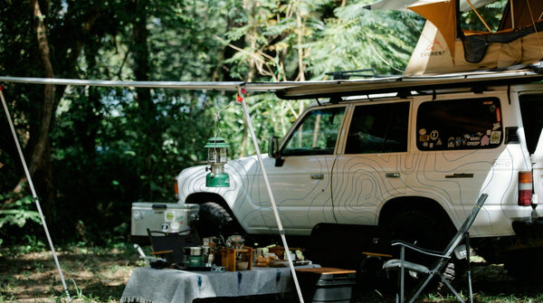White 4Runner with Dusty Blue Topo Lines